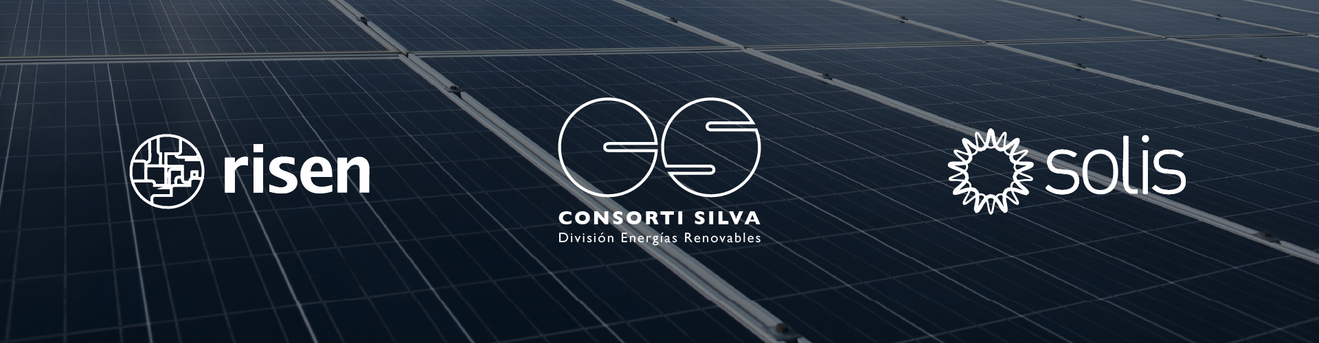 socios estrategicos paneles solares